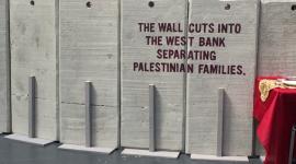 متضامنون مع فلسطين