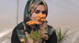 رواء النجار