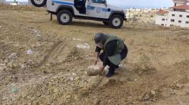 تعبيرية