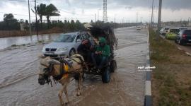مياه الأمطار  (3)