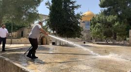 تعقيم الاقصى2