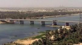 ذي قار