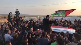 صورة خلال زفة العريس شاهين