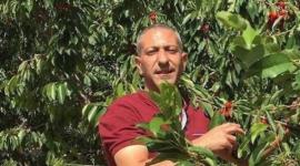 الاسير سامر عربيد
