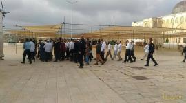 اقتحام المسجد الأقصى