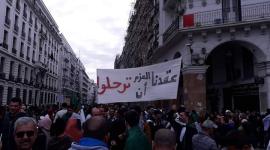 مظاهرات الجزائر
