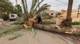 جانب من الاضرار