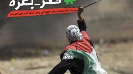 فكر بغزة