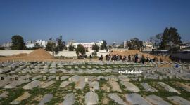 قبور الفقراء في غزة (1)