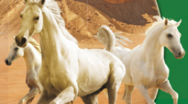 حل كتاب العلوم ثاني متوسط ف1 1441 فى السعودية