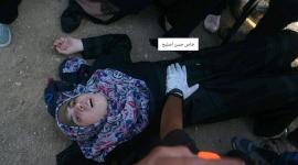 الاء السوافيري
