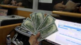 رابط فحص المنحه القطريه 100