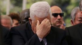 محمود عباس
