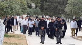 ارشيفية