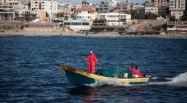 قوارب الصيادين