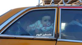 معبر رفح (14)