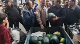 اتلاف بطيخ (ارشيف)