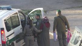 ارشيفية
