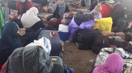 العالقين في مصر 