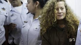 عهد التميمي