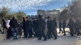 اقتحام الاقصى3
