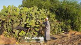 الصبر3.JPG
