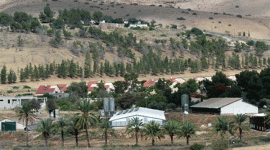 الأغوار