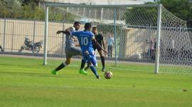اتحاد الشجاعية
