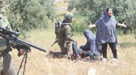 جنود الاحتلال أصابوا شابًا مقيدًا ومعصوب العينين في تقوع