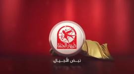 تردد قناة طيور الجنة بيبي الجديد 2020 على نايل وعرب سات