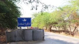 الباقورة