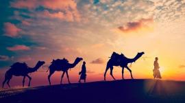 هجرة (تعبيرية)
