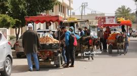 عربات الخضار للشوارع (3).JPG