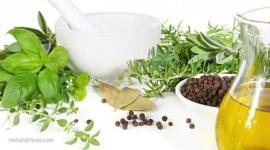 مضادات حيوية طبيعة