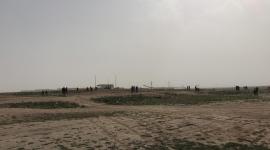 مليونية الأرض والعودة (4)