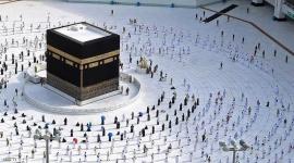 المشاعر المقدسة