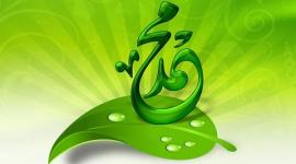 بحث عن المولد النبوي الشريف حول رحمة الرسول مع الناس