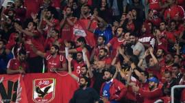 الاهلي المصري