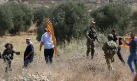 صورة توضيحية