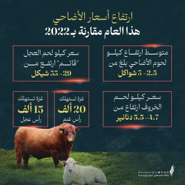 ارتفاع أســعار الأضاحي في قطاع غزة العام الحالي 2023 مقارنة بالعام الماضي.