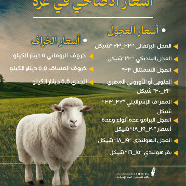 أسعار الأضاحي في غزة.png