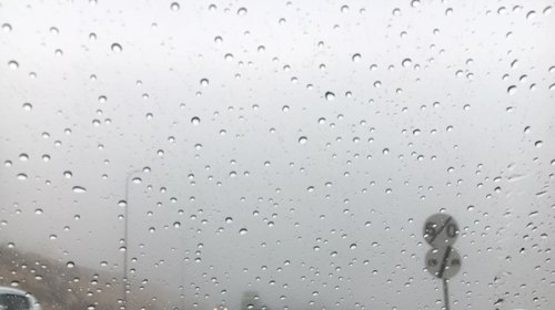 شتاء