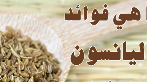 الينسون