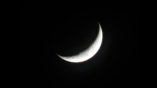 عيد الفطر