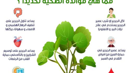 فوائد الجرجير.jpg