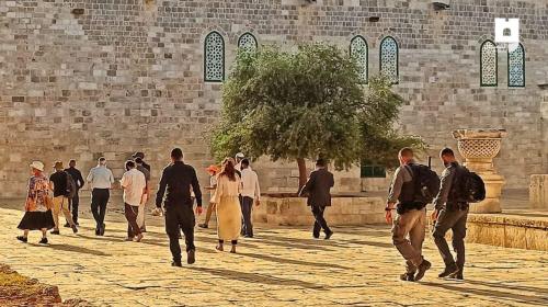 مستوطنون يقتحمون القدس (2).jpeg