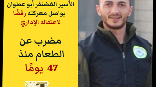 الأسير الغضنفر أبو عطوان.png