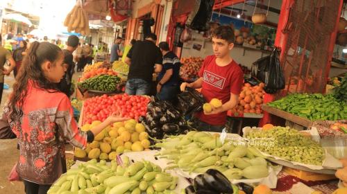 أسعار الخضروات والدجاج واللحوم في غزة اليوم الخميس 20 أكتوبر 2022