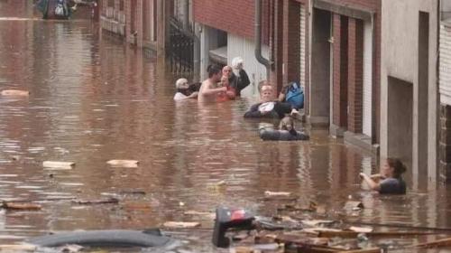 ارشيفية