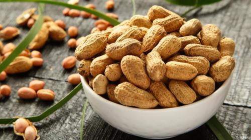 الفول السوداني.jpg